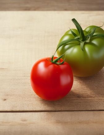tomato