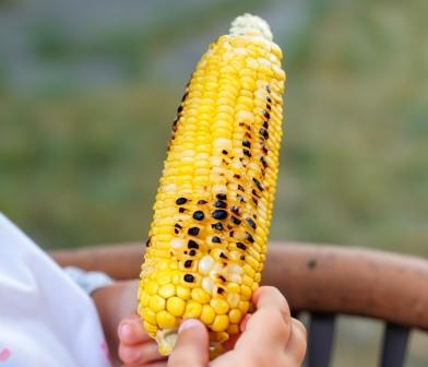 corn