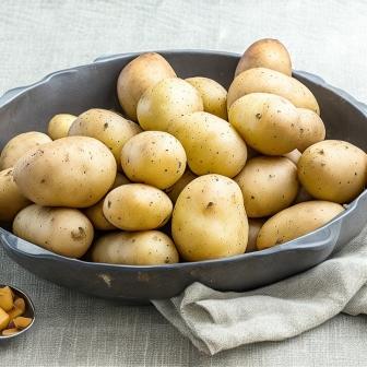 Potato